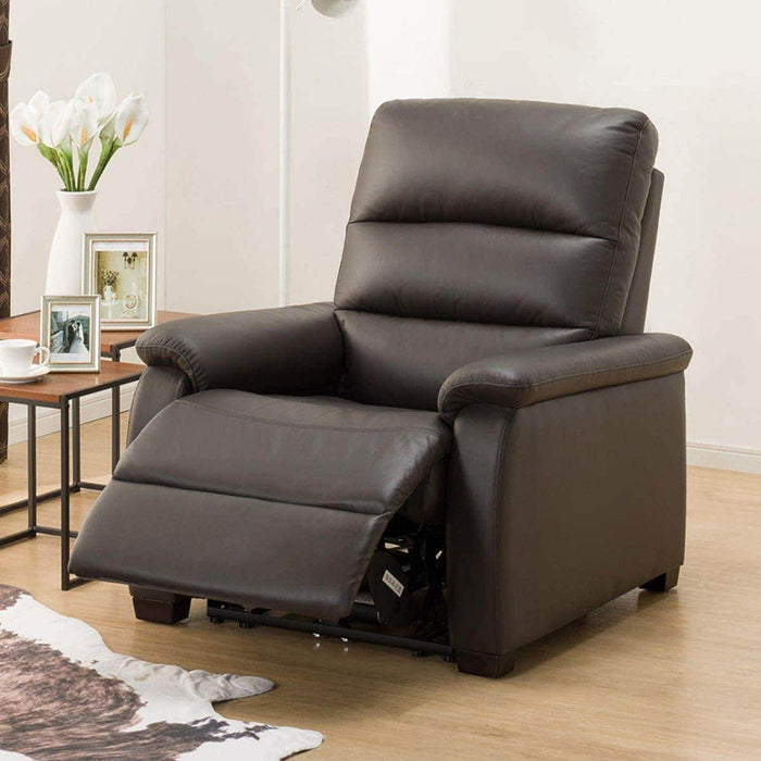 1 SEAT RECLINER SOFA N-BELIEVA DBR LEATHER