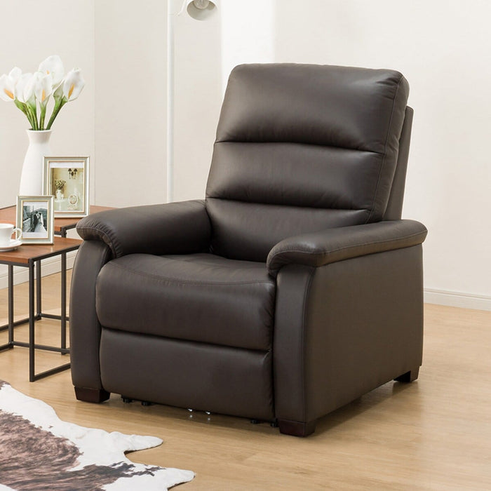 1 SEAT RECLINER SOFA N-BELIEVA DBR LEATHER