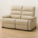 2P Electric Sofa N-Believa Antivirus N-Shield BE