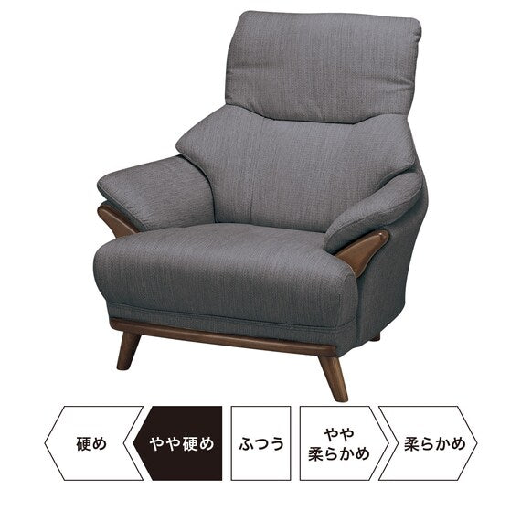 1S-Sofa Kotei3 DR-GY