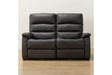 2 Seat Recliner Sofa N-Believa DBR2-Szn116 Leather