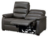 2S Electric Sofa N-Believa DGY2-JHN76 TK-Leather