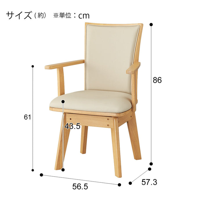 DC SW ARM LG-010 LBR