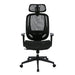 Office Chair OC503 BK