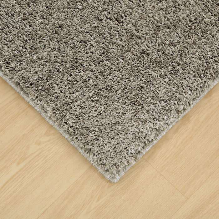 RUG PB SHAGGY MO 200X240