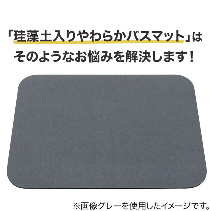 SOFT & COMFORTABLE BATHMAT 29X39 UM01