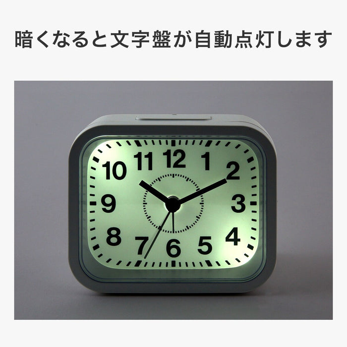 NIGHT LIGHT ALARM CLOCK SW 008TG