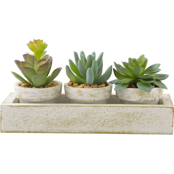 Succulent 3pcs with Tray HA34315GN