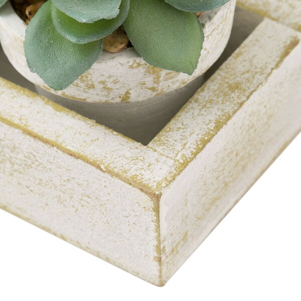 Succulent 3pcs with Tray HA34315GN