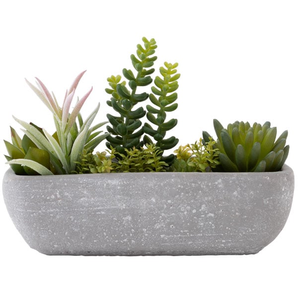 Succulent In Cement Pot Ha31755GN