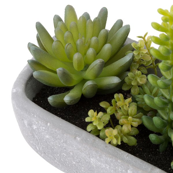 Succulent In Cement Pot Ha31755GN