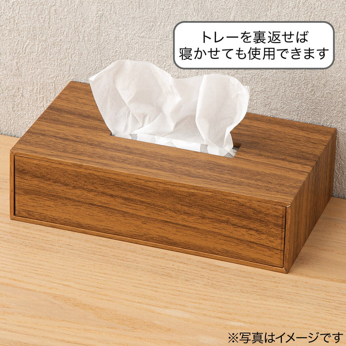 TISSUE CASE DBR