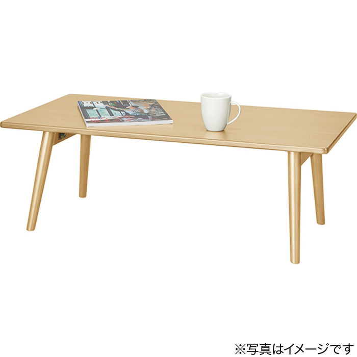 LEG-FOLD TABLE RP9045 NA