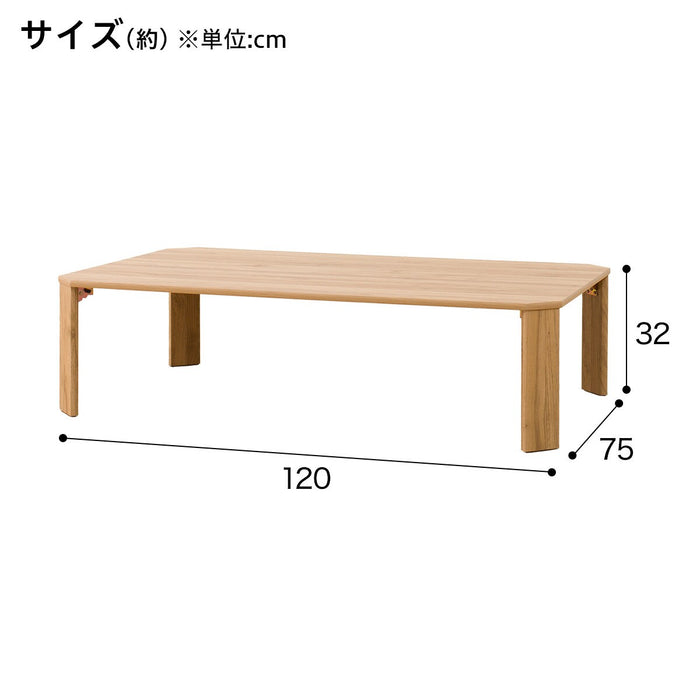 FOLDING TABLE LW2 12075 LBR