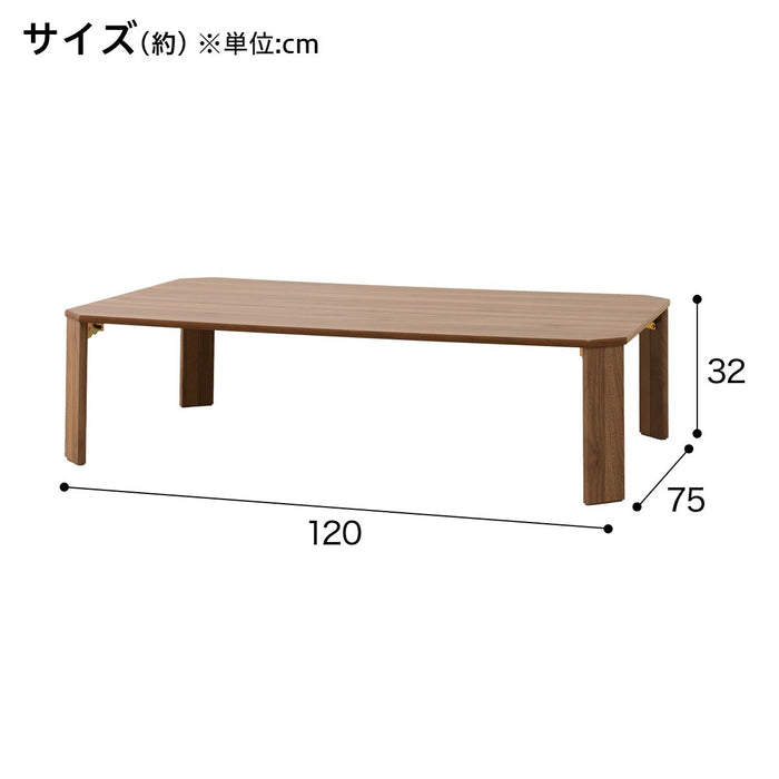 FOLDING TABLE LW2 12075 MBR