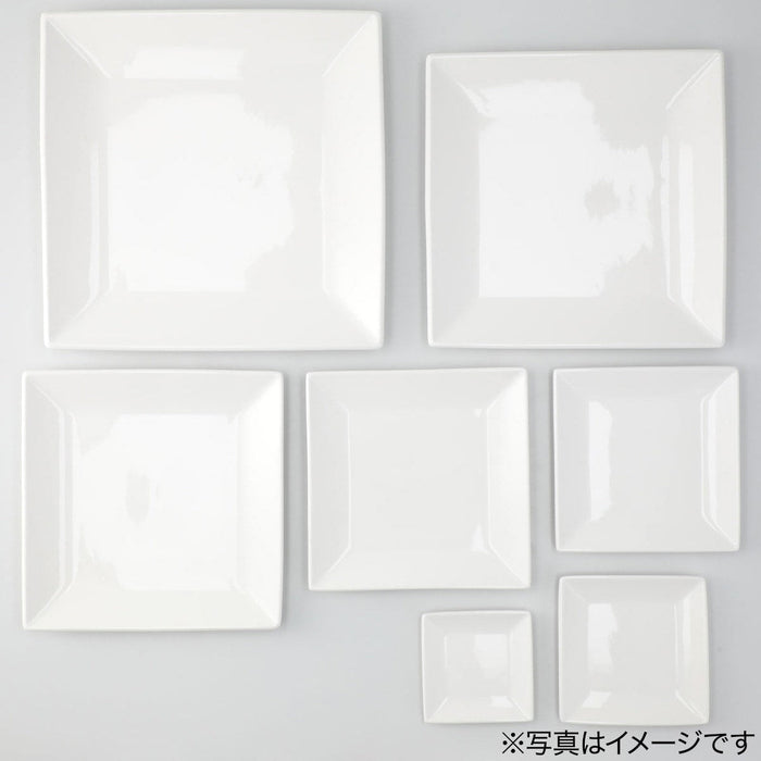 Square Plate 21cm JXA926-06 D21xH2.3