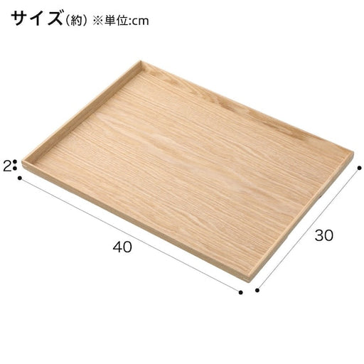 Non-Slip Tray  L