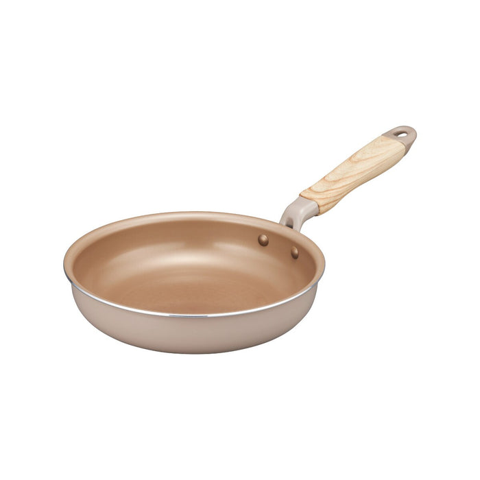 IH FRYINGPAN 20CM evercook