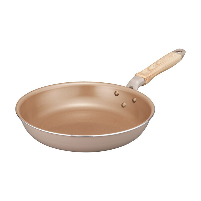 IH FRYINGPAN 26CM evercook