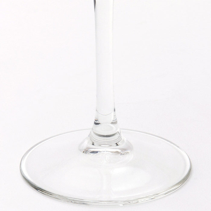 WINE GLASS 2P SET VL580