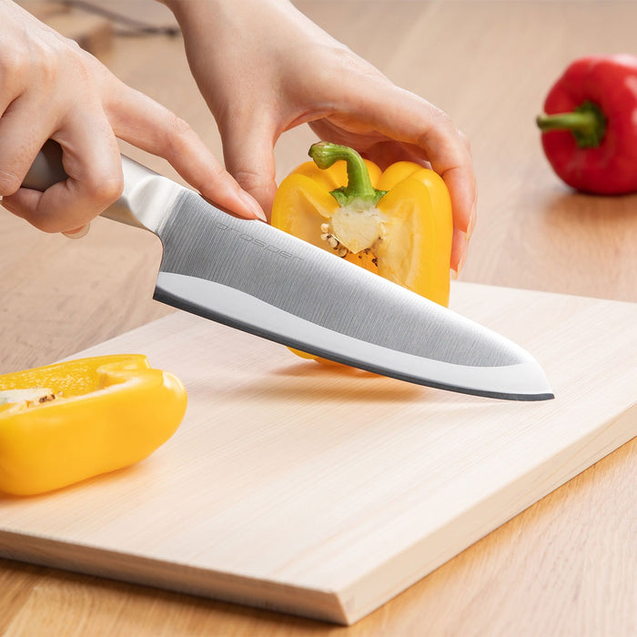 Stainless Kitchen Knife Prosper